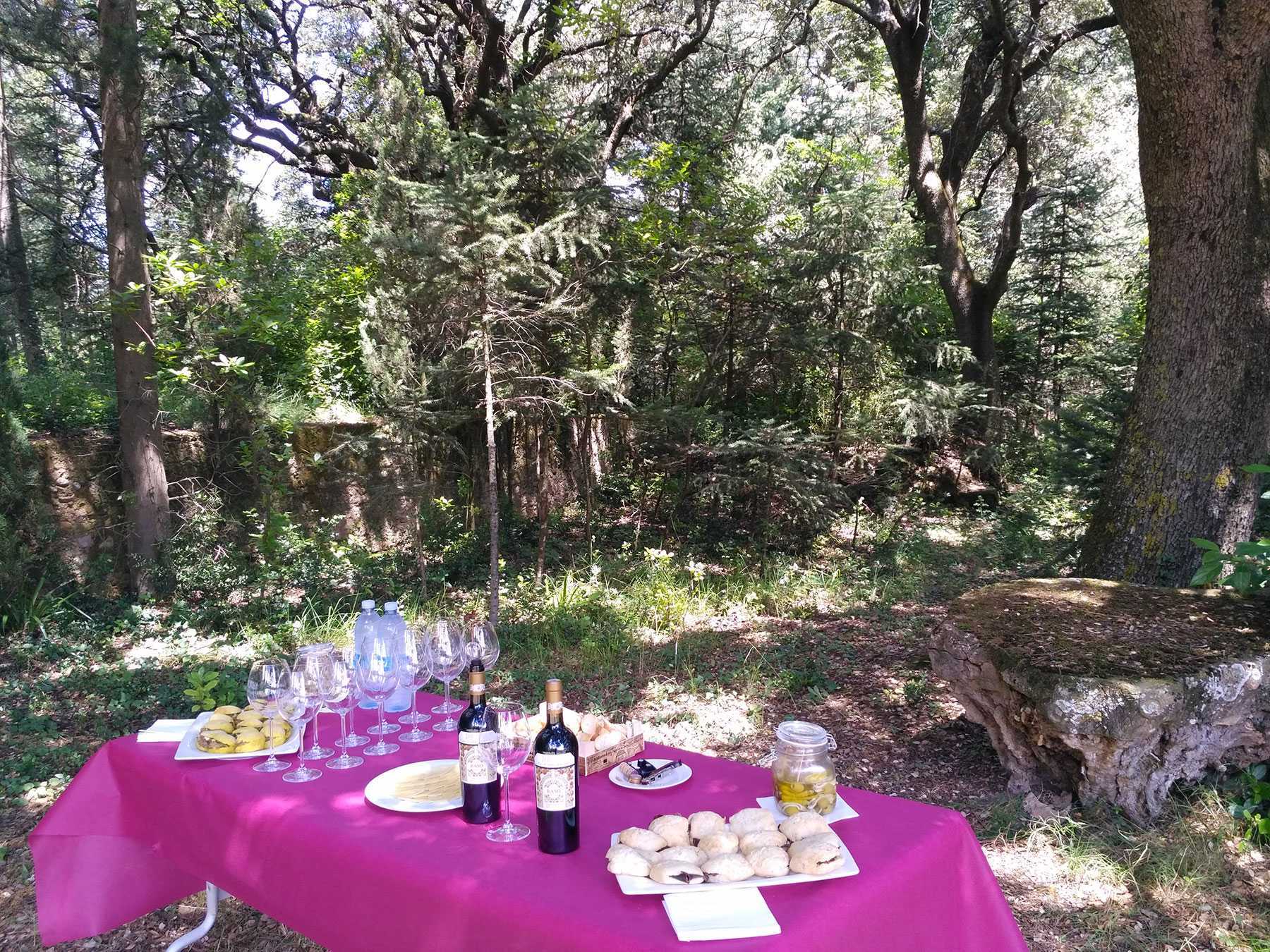 wine tour picnic